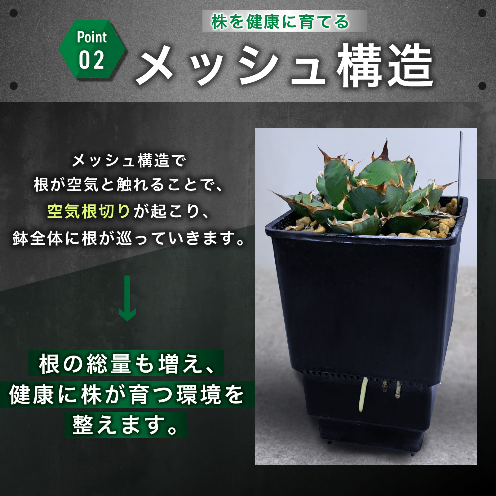 Kaiju Plant メッシュポット サークリングしない プラ鉢 アガベ 多肉 