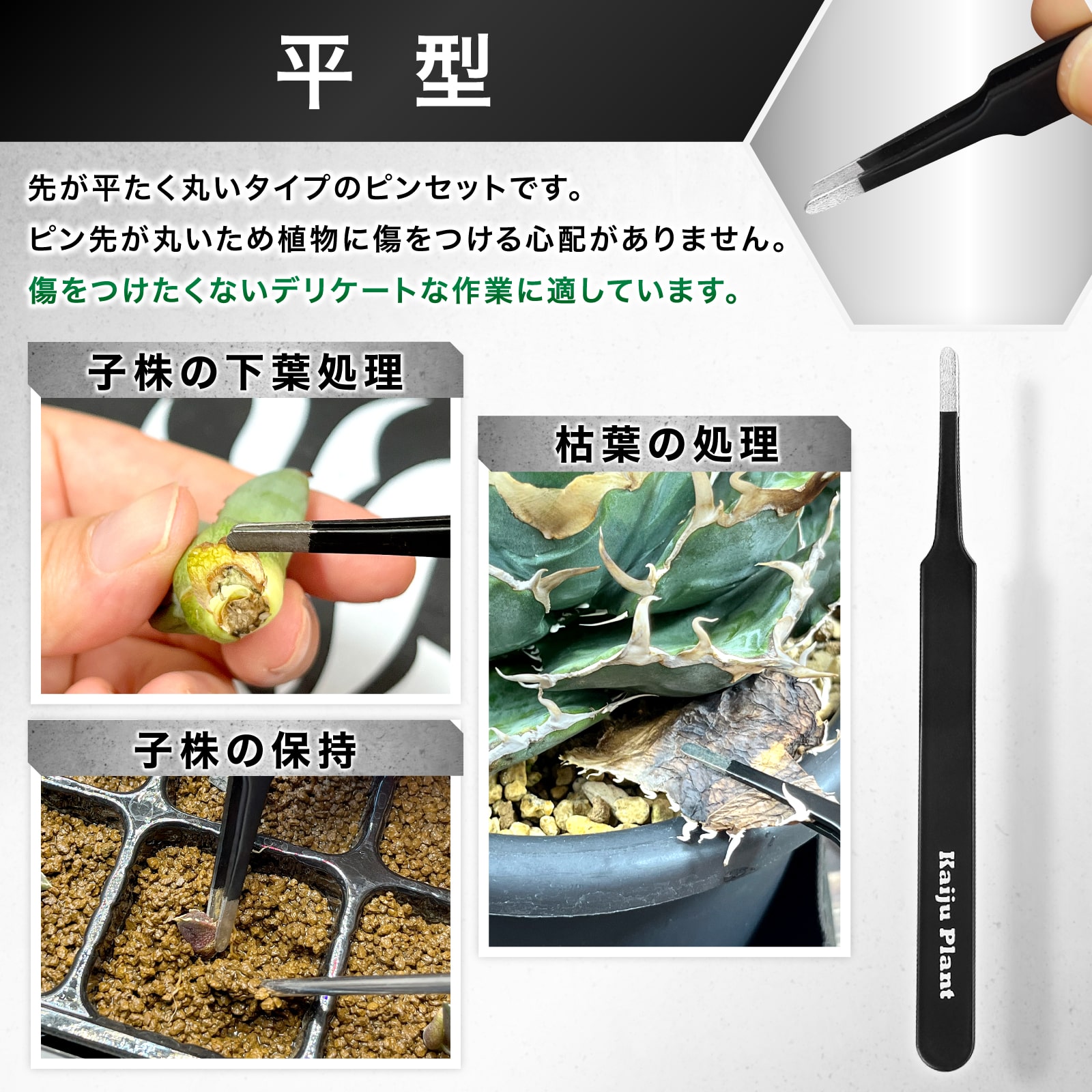 Kaiju Plant ピンセット 4種 + 根かき棒 植替え 美しく仕上げる 多肉 