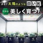 Kaiju Plant 植物育成ライト 怪獣フ...の詳細画像1