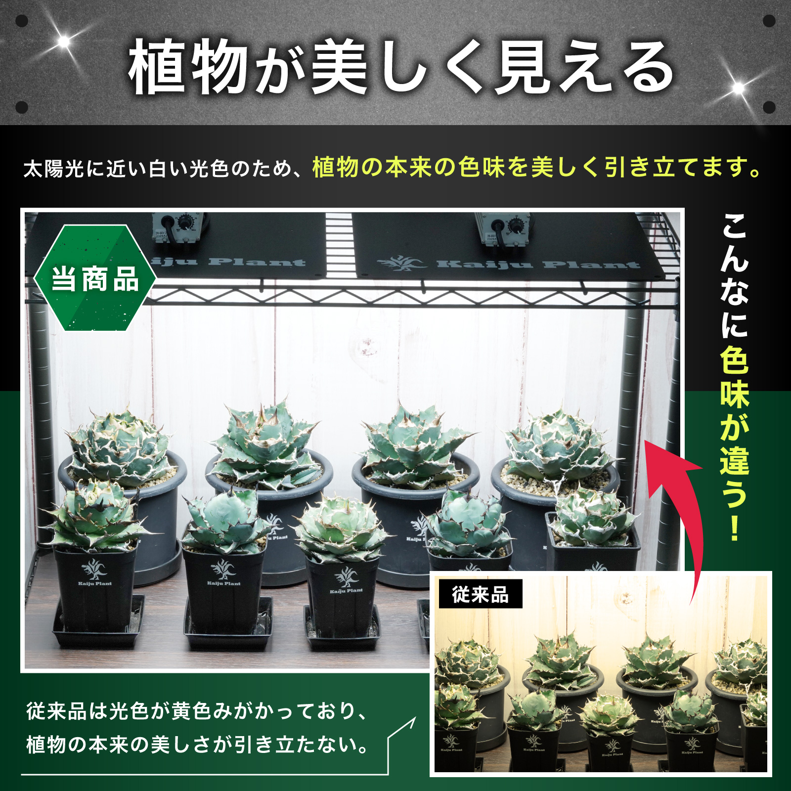 Kaiju Plant 植物育成ライト 怪獣フレア まるで太陽のような パネルLED フルスペクトル UV IR 搭載 (281（シルバー）)｜park-market｜04