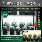 Kaiju Plant 植物育成ライト 怪獣フ...の詳細画像3