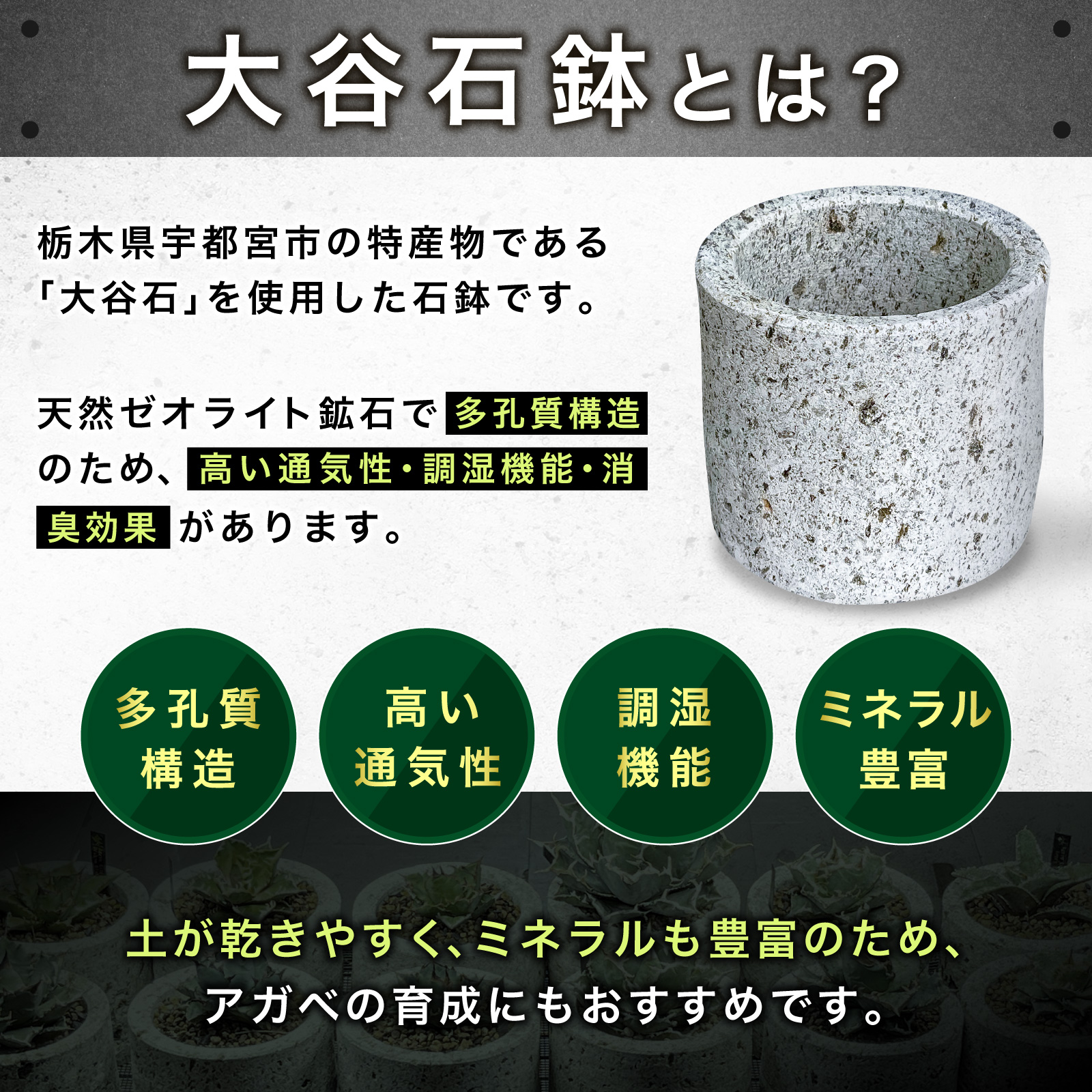 Kaiju Plant 大谷石 石鉢 Φ140mm x H120mm 0.7L アガベ 多肉