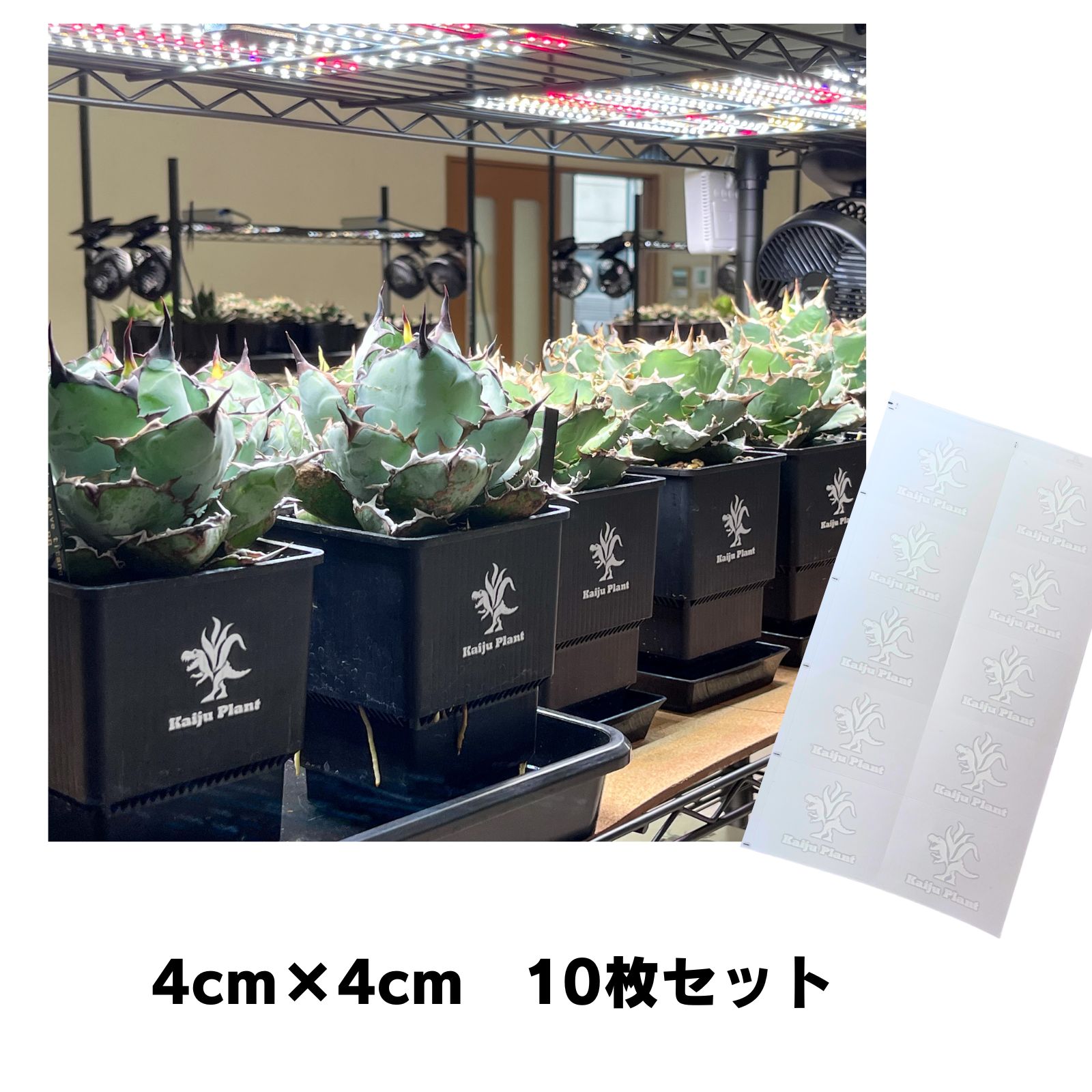 Kaiju Plant ブランドロゴマーク ステッカー 転写タイプ 正方形 4cmx4cm 10枚セット｜park-market｜02