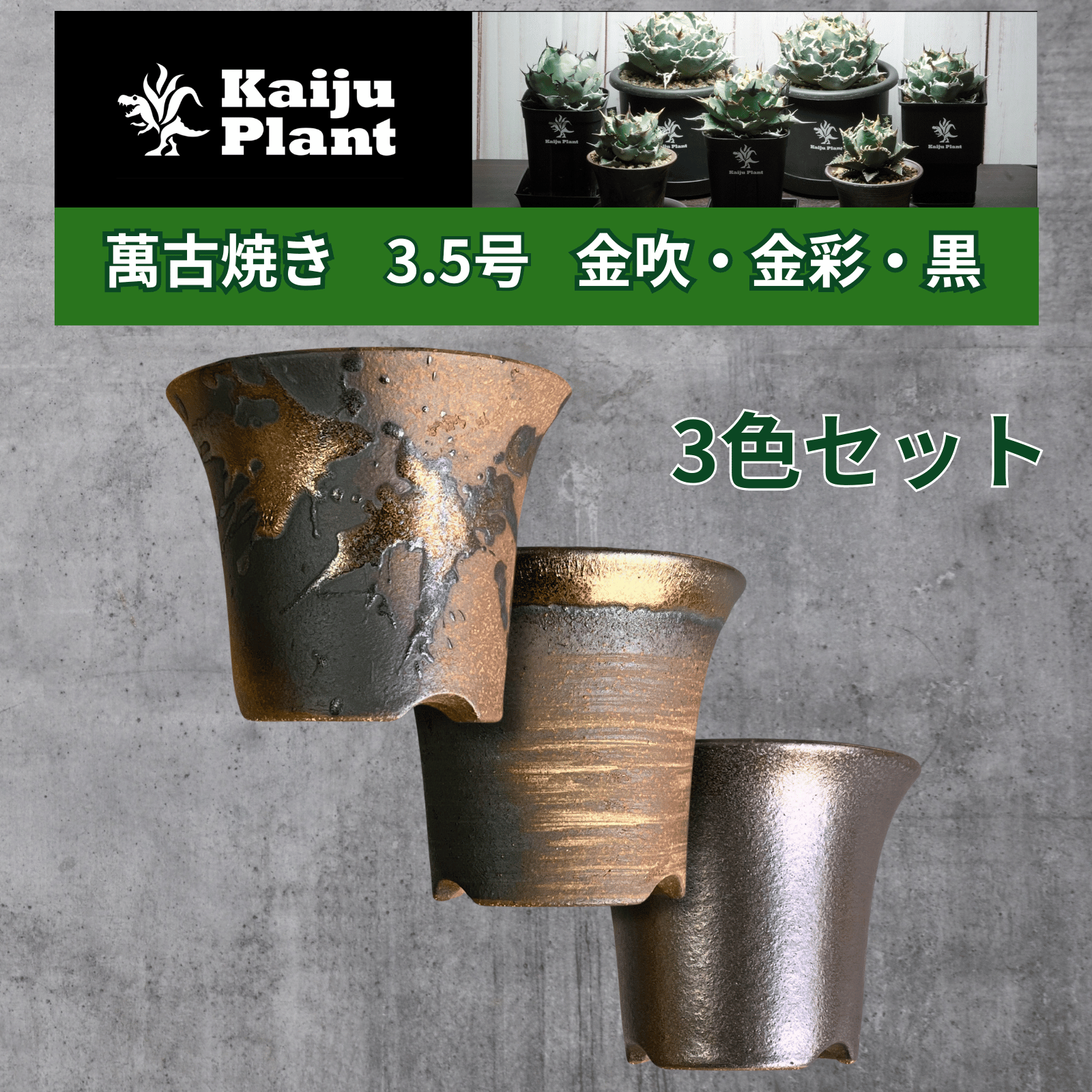 Kaiju Plant 萬古焼 3.5号 陶器鉢 ラッパ アガベ 多肉 塊根 用 金吹 金彩 