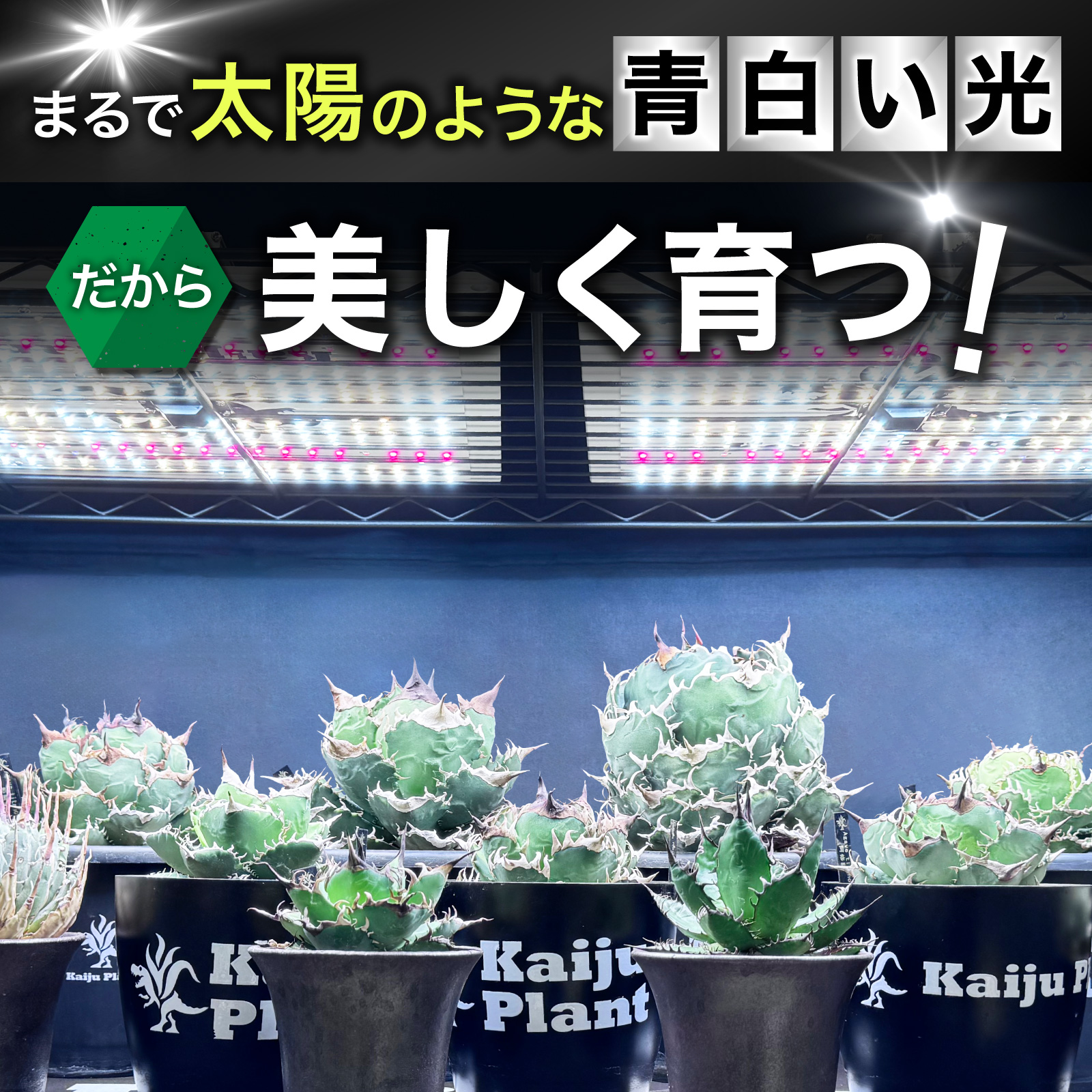 Kaiju Plant 植物育成ライト 怪獣フレア まるで太陽のような パネルLED フルスペクトル UV IR 搭載 301 ホワイト 2個セット｜park-market｜03
