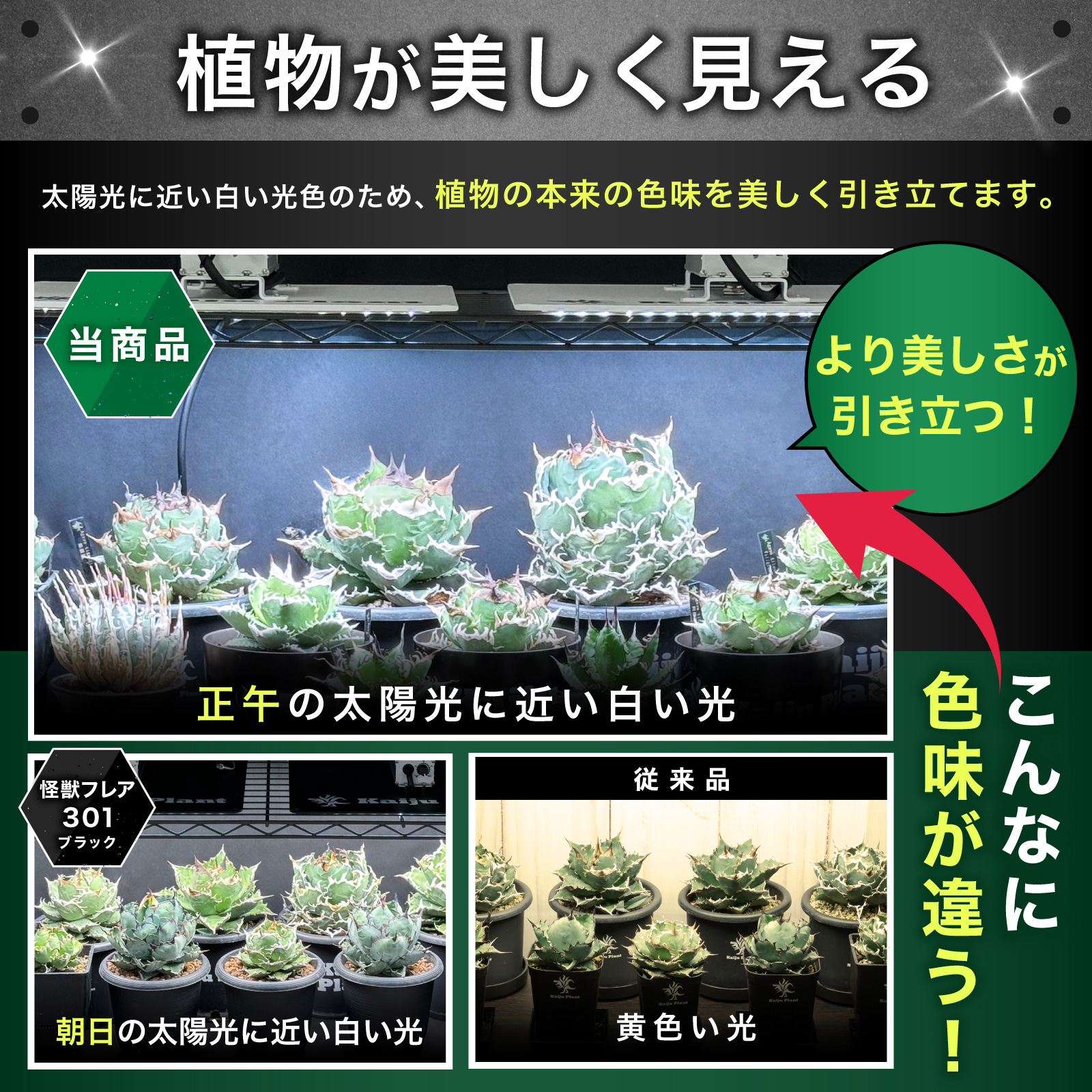 Kaiju Plant 植物育成ライト 怪獣フレア まるで太陽のような パネルLED フルスペクトル UV IR 搭載 301 ホワイト｜park-market｜05