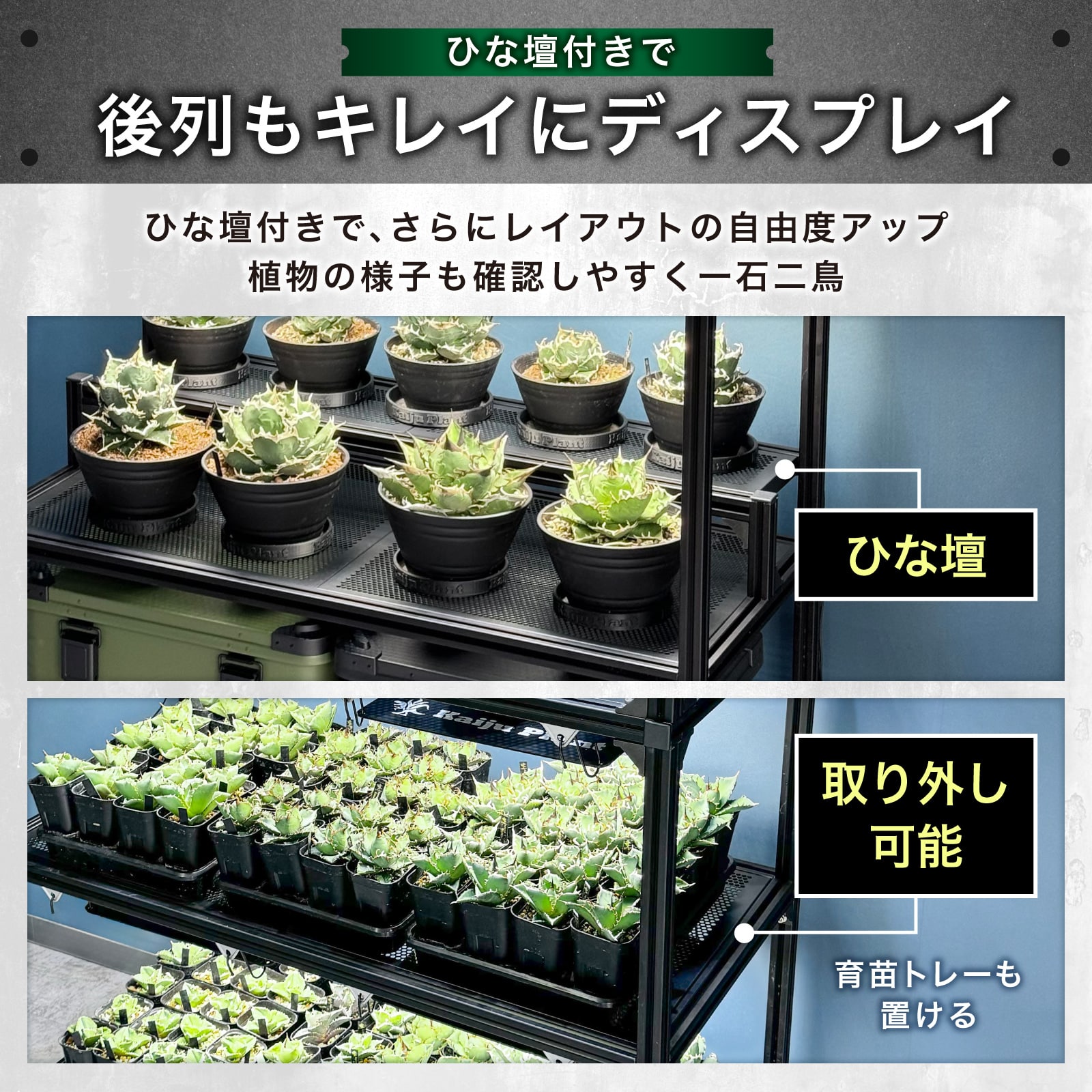 怪獣ラック 組立式 高さ調整可能 植物棚 幅110 奥行50 高さ175 アルミ