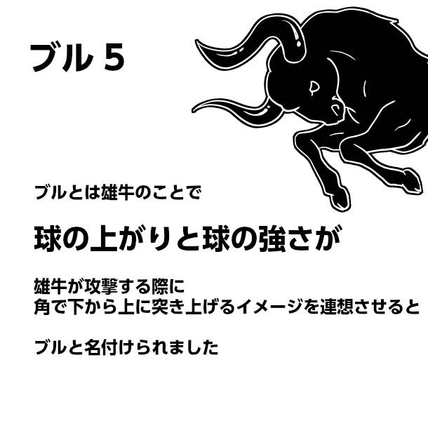 パークゴルフ クラブ