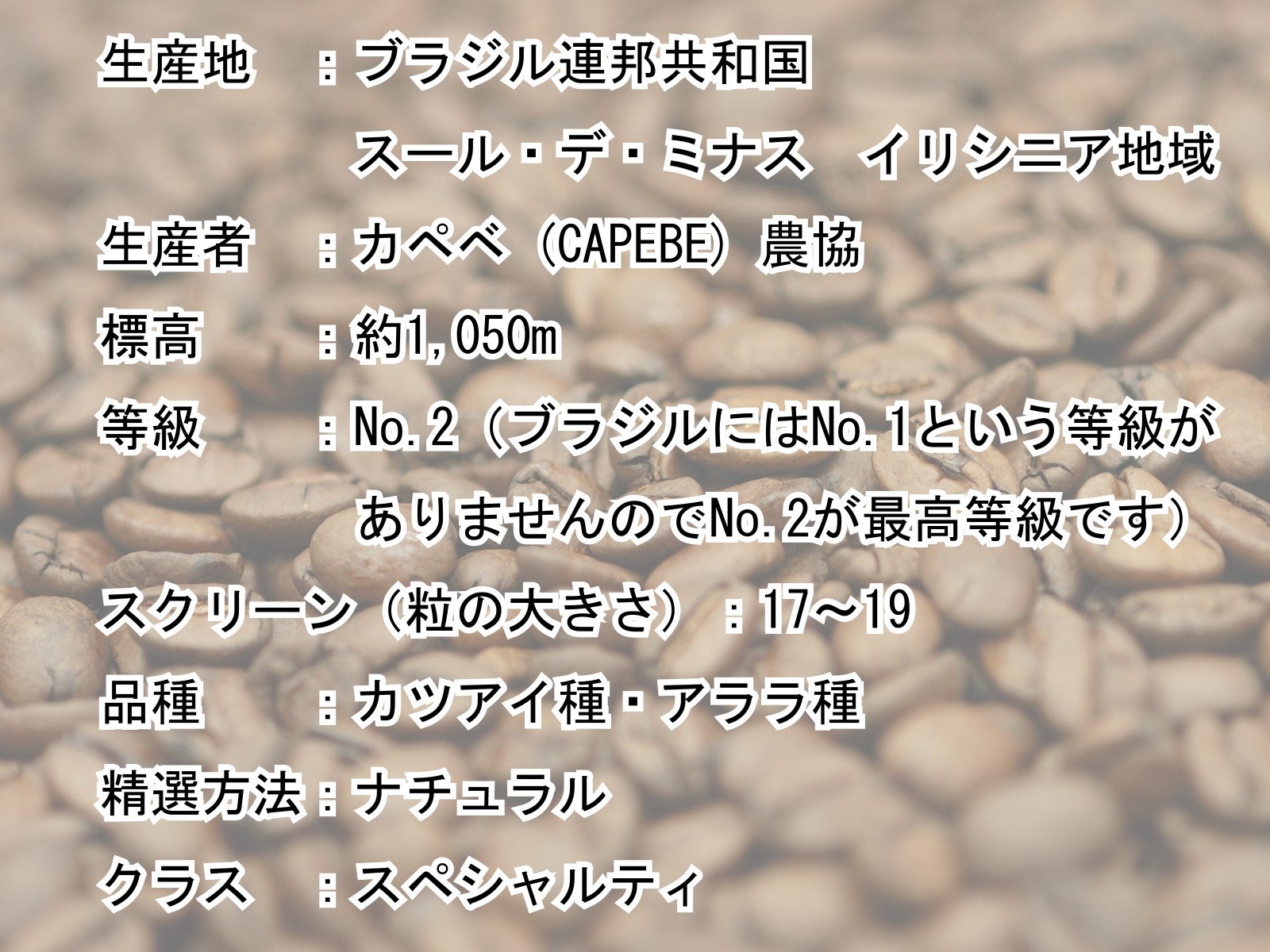 ブラジル イリシニア 詳細