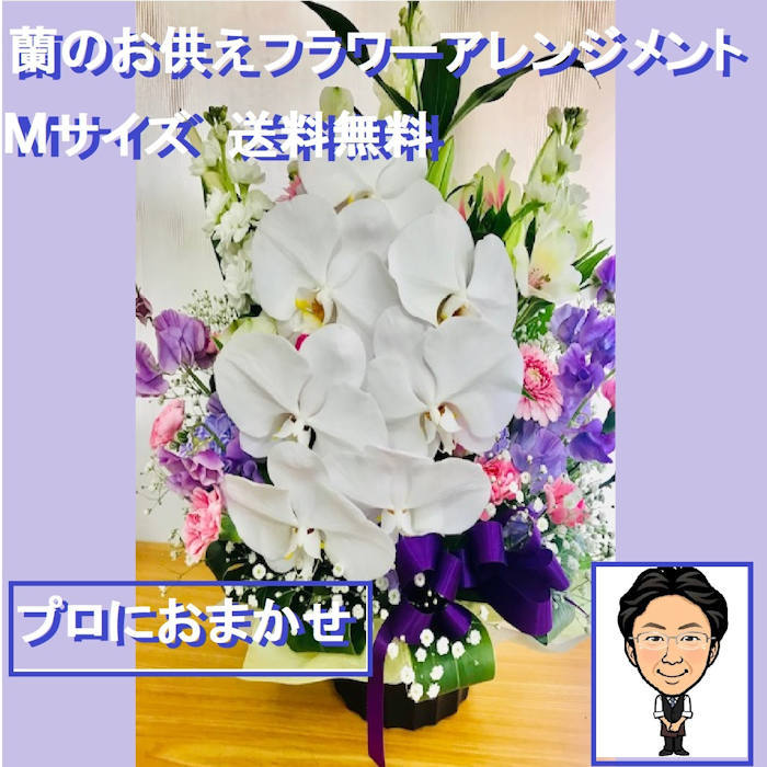 海外輸入 お供え 花 枕花 命日 49日 ペット 法事 お悔やみ 蘭フラワーアレンジメント 供花 新盆 お盆 生花 一周忌 送料無料 メッセージカード付 ペット 50 Off Teslaimagem Com Br