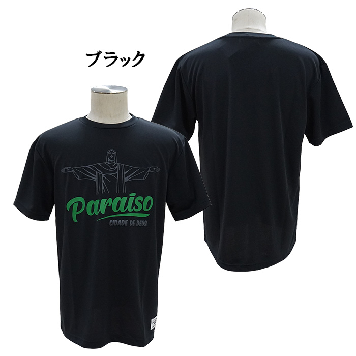 ノッソセニョールドパライーゾ NOSSO SENHOR DO PARAISO NP-00-676 RIO