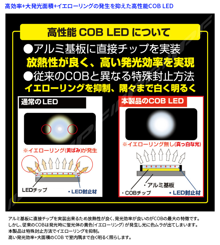 T10 T13 T16 COB LED ルームランプ 305R 車内灯 6000K 100lm ルーム 