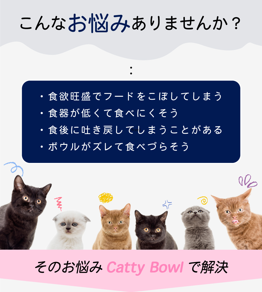 Catty Bowl フードボウル 食べやすい 傾斜 高さがある おしゃれ 陶器