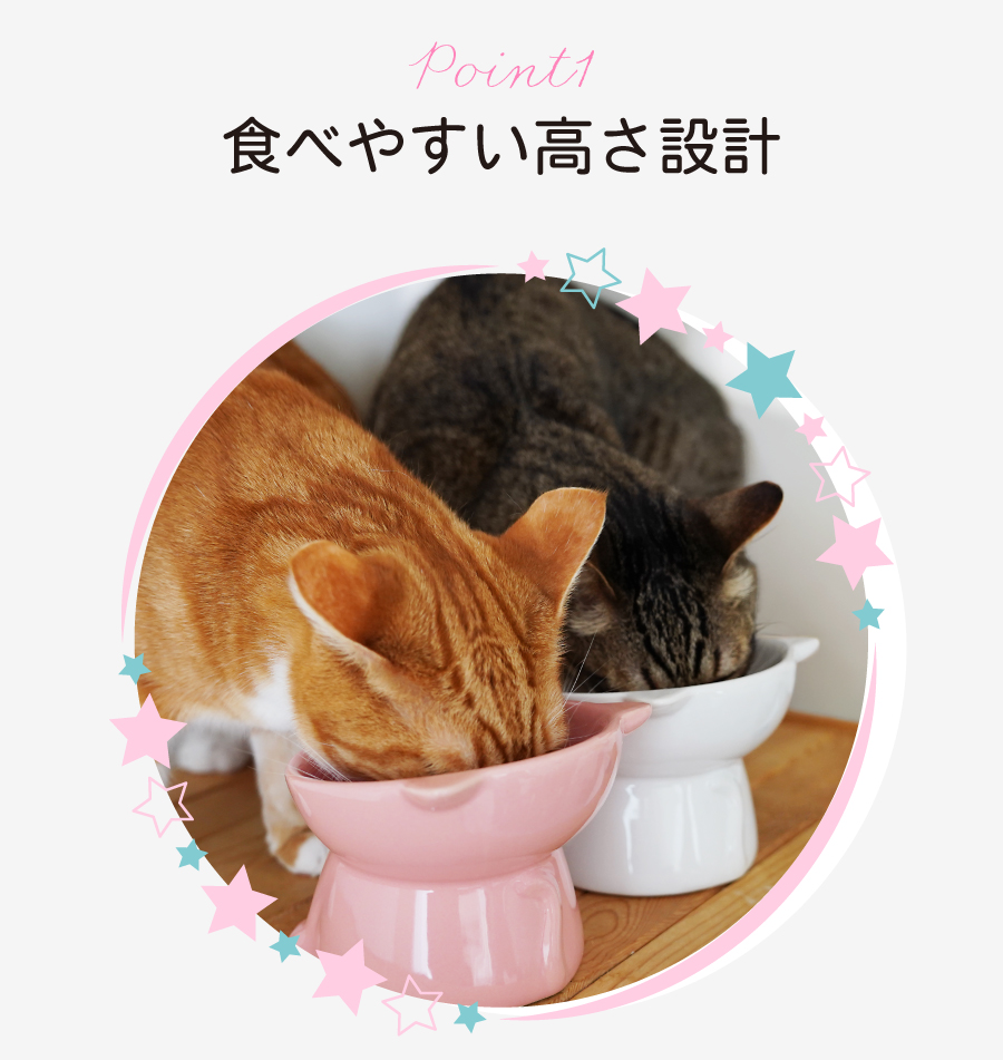 Catty Bowl フードボウル 食べやすい 傾斜 高さがある おしゃれ 陶器