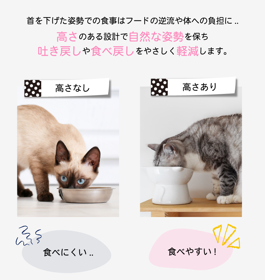 Catty Bowl フードボウル 食べやすい 傾斜 高さがある おしゃれ 陶器