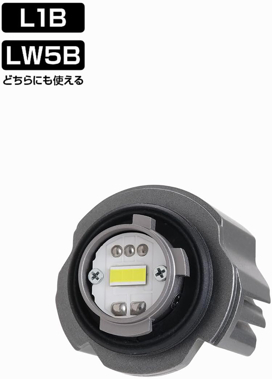 PIAA フォグ用 純正LEDフォグライト用バルブ LEF501 L1B LW5B 12V 20W