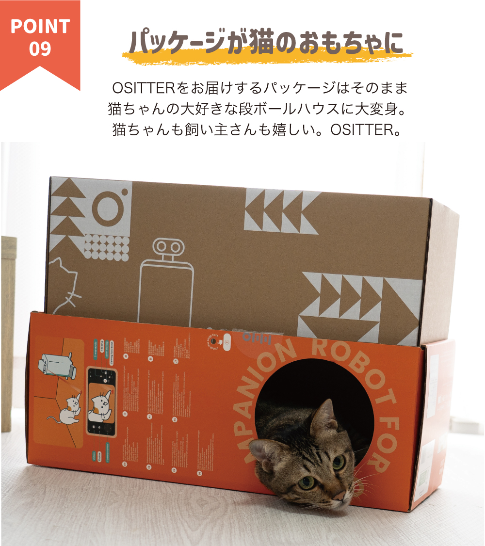 猫用 見守りカメラ 猫カメラ AI搭載 自動給餌機 自動餌やり機 猫用