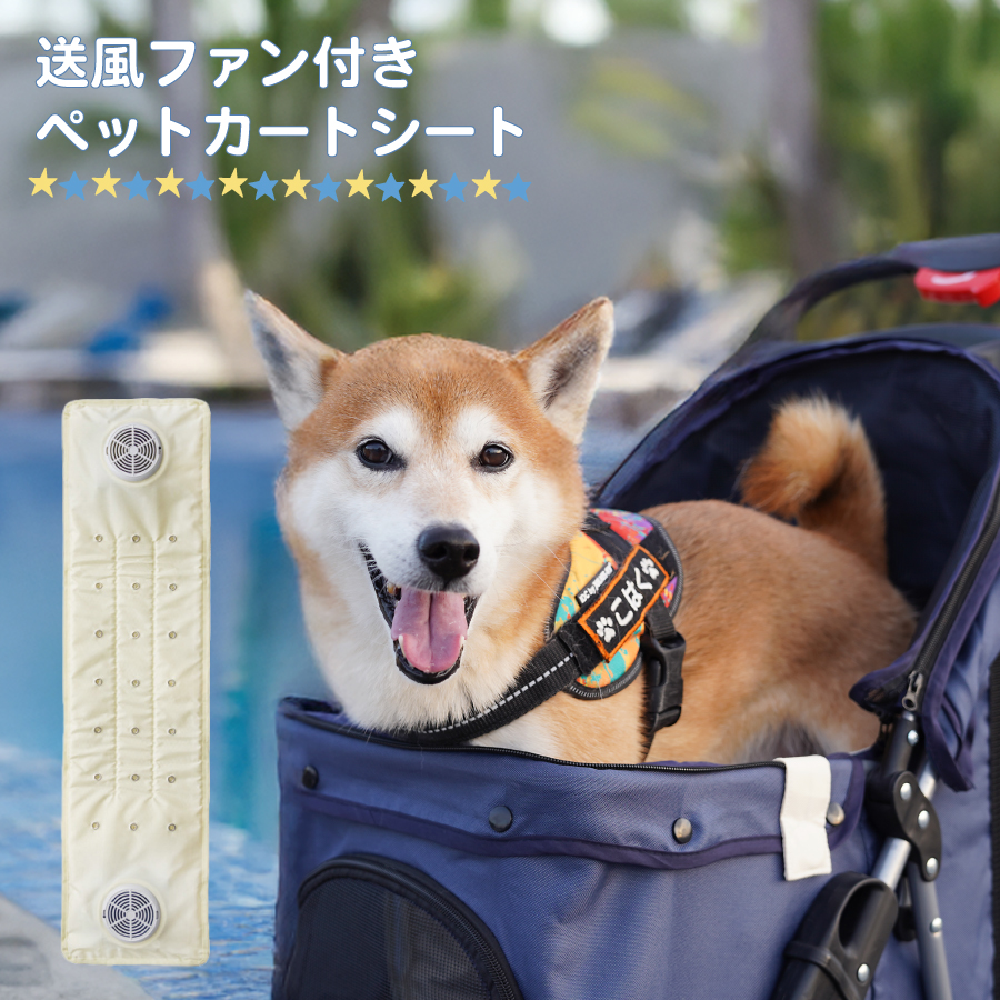 petcart-1-1.jpg