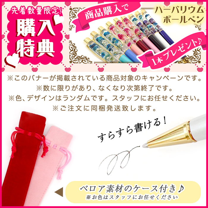 先着プレゼント