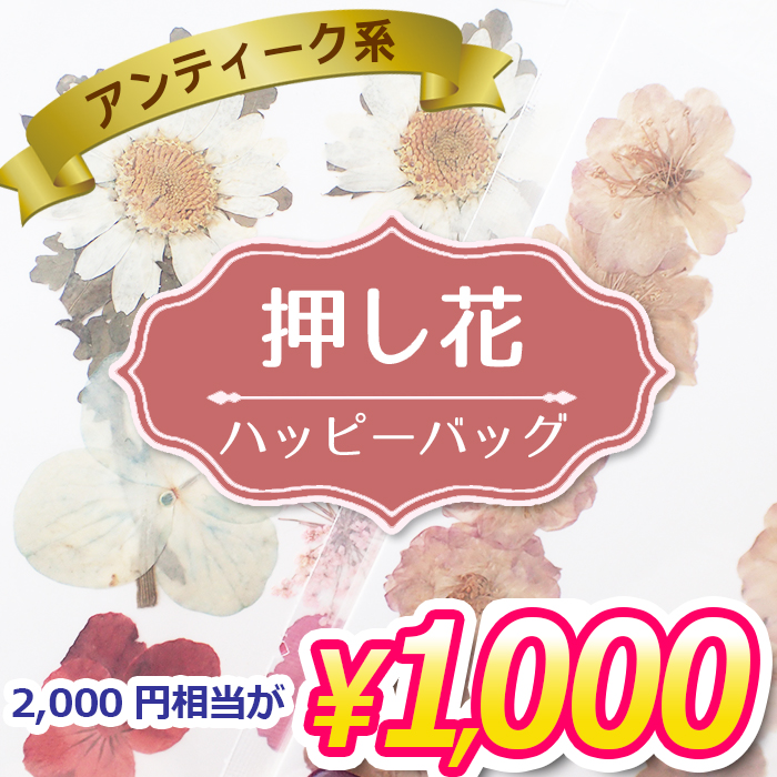50 Off 福袋 ヴィンテージカラー 押し花 ハッピーバッグ 押し花 ドライフラワー アソート レジン キャンドル 真空パック 花材 材料 素材 国内発送 Huku23 2 Partsworld パーツワールド 通販 Yahoo ショッピング