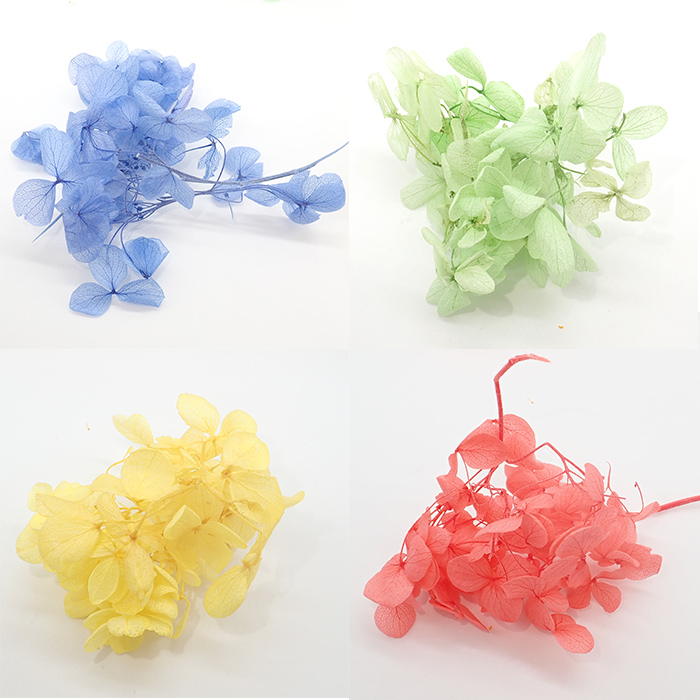 【専用商品】　アジサイ　リクエストアソート　紫陽花 アジサイ リクエストアソート 紫陽花 - メルカリ