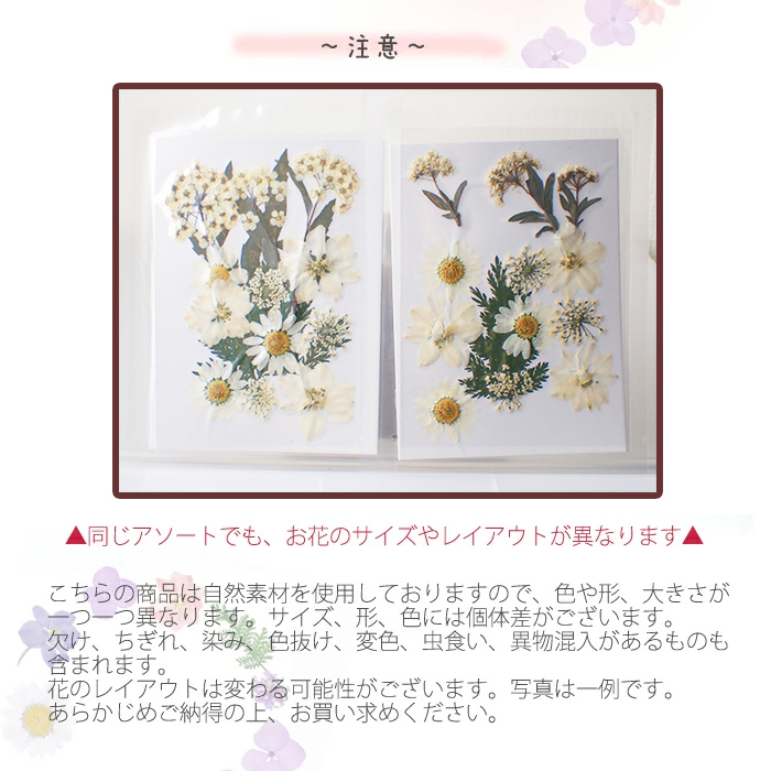 楽天市場】押し花 キット 押花 フラワープレス 手作り フラワー