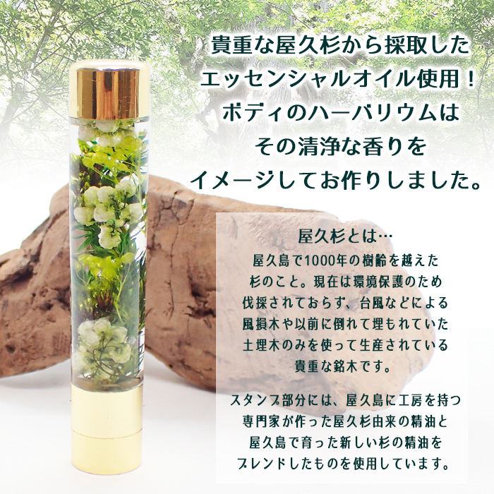 ハーバリウム アロマスタンプ 完成品 屋久杉 アロマ アロマ