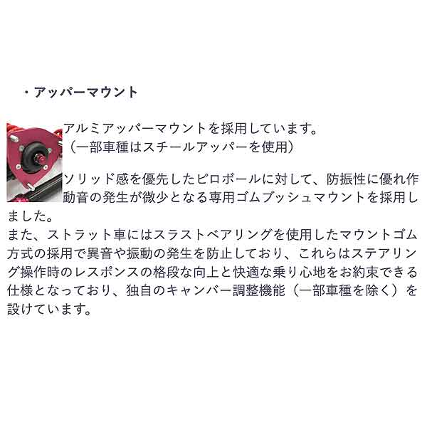 RSR Super☆i フーガ KY51 H21/11〜 SIN281M 車高調整式サスペンション