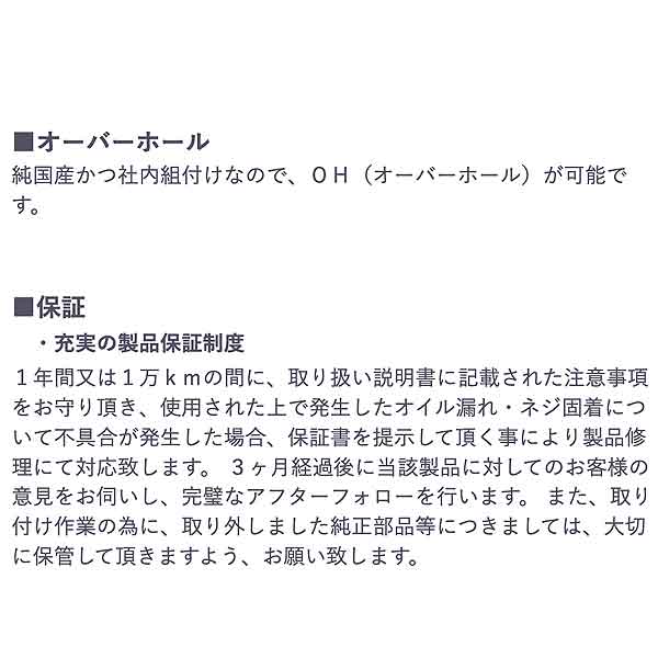 RSR TP Basic☆i ハイエースワゴン TRH224W H22/7〜 TPT600S1SB 車高