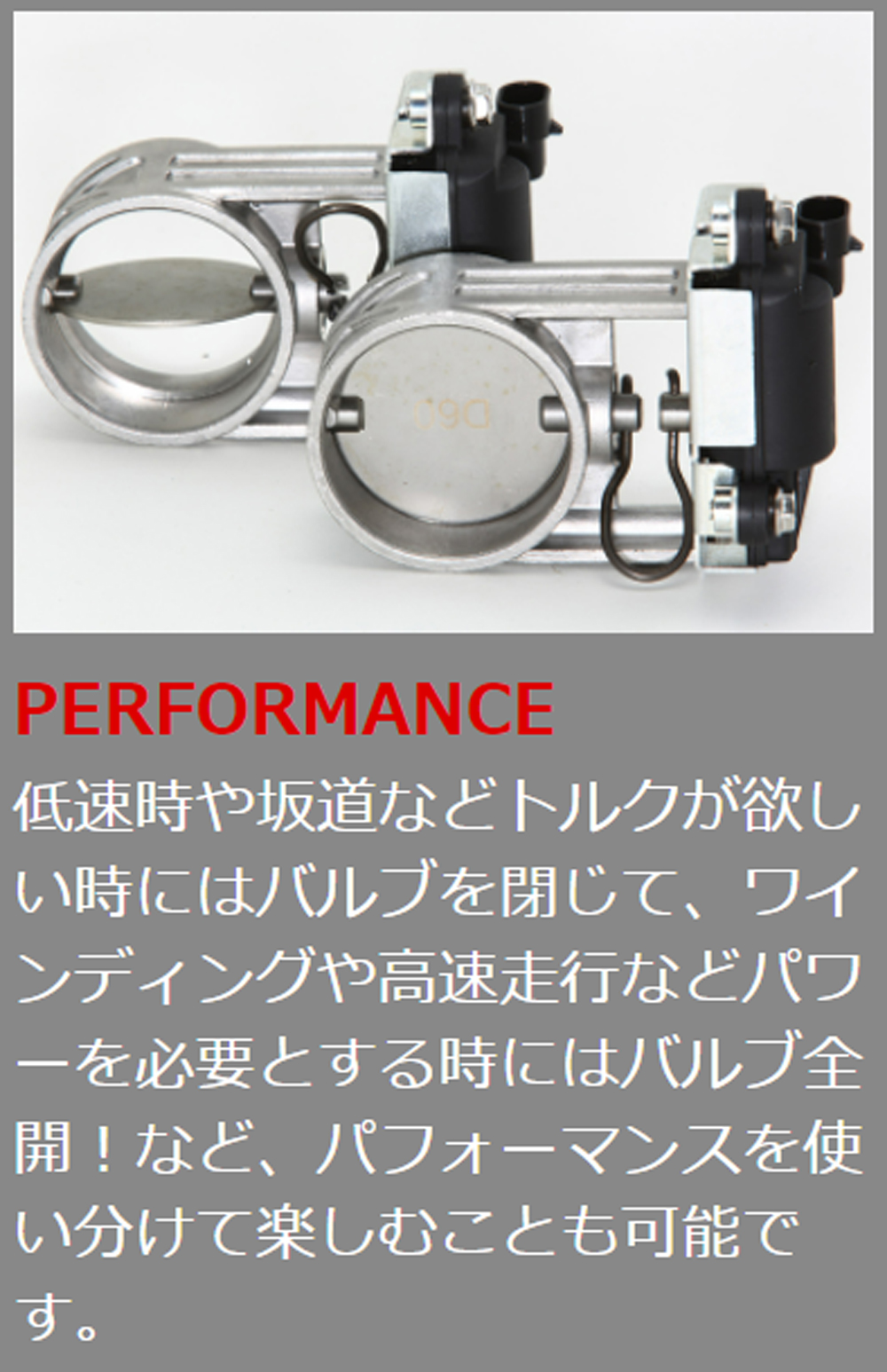 FUJITSUBO（フジツボ） VVV (事前認証品) ヴィダブリュ VAB WRX STI