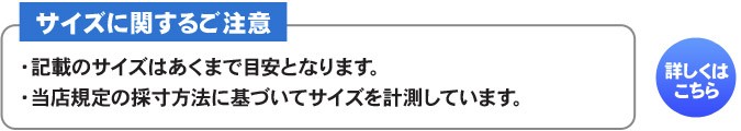 コスプレ 仮装 バタフライ クイーン 大人用 XS 衣装 ハロウィン