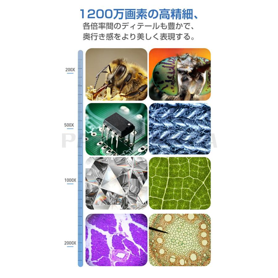 顕微鏡 7.0インチ LCDマイクロスコープ顕微鏡 500-2000倍 充電式 顕微鏡 7.0インチ LCDマイクロスコープ顕微鏡 500-2000倍 充電式