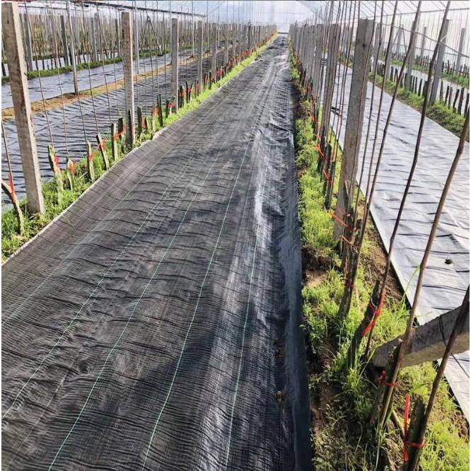 防草シート 3m×100m 農用シート 高透水 草よけシート 農業 園芸 防草シート 3m×100m 農用シート 高透水 草よけシート 農業 園芸