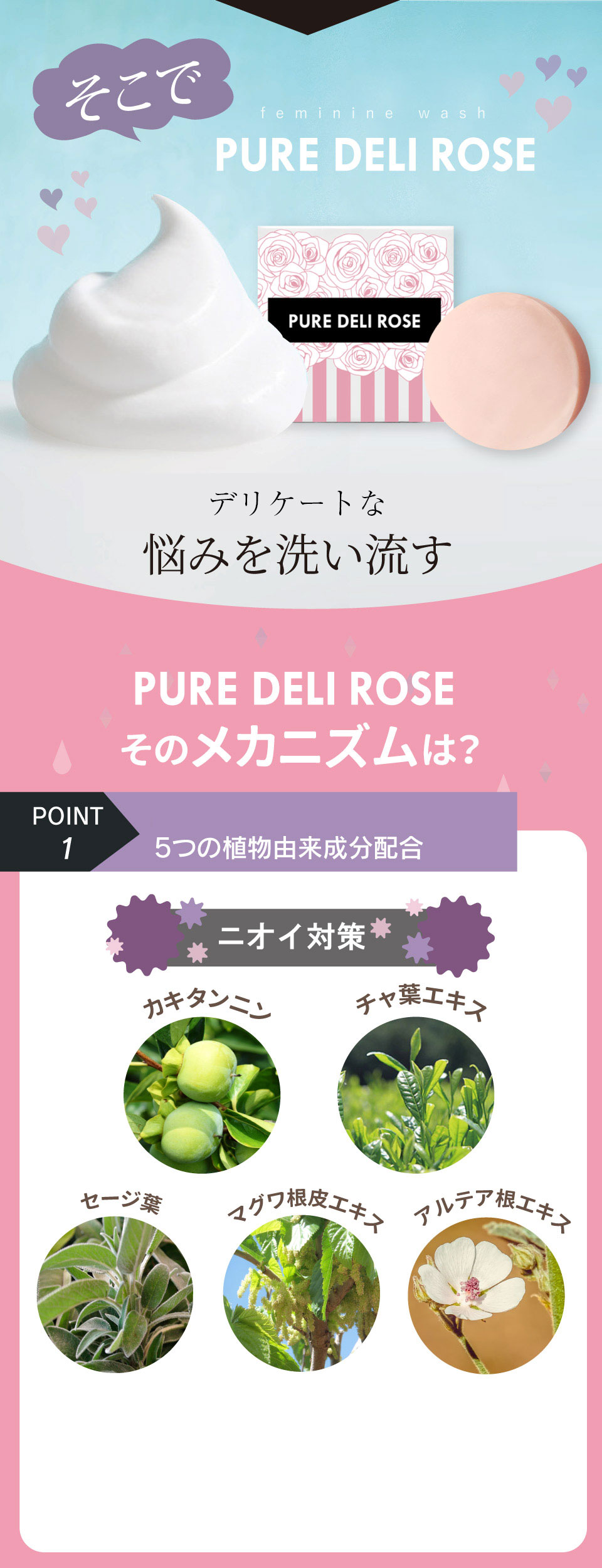 PURE DELI ROSE ピュアデリローズ ボディソープ | sesadvantage.com