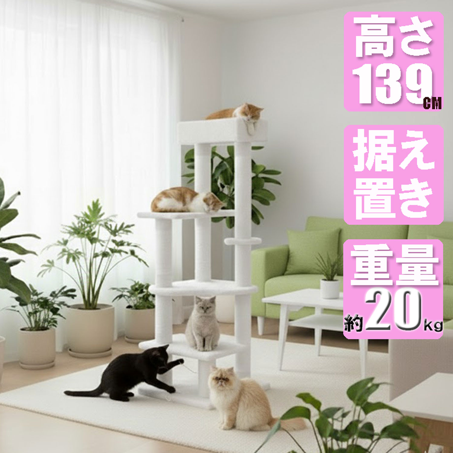 期間限定 1900円引き 白色 ハート型のデザインがおしゃれ キャット