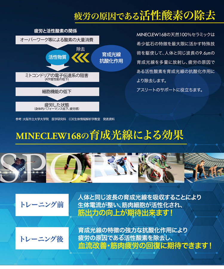 rcsg-mc350-008.jpg