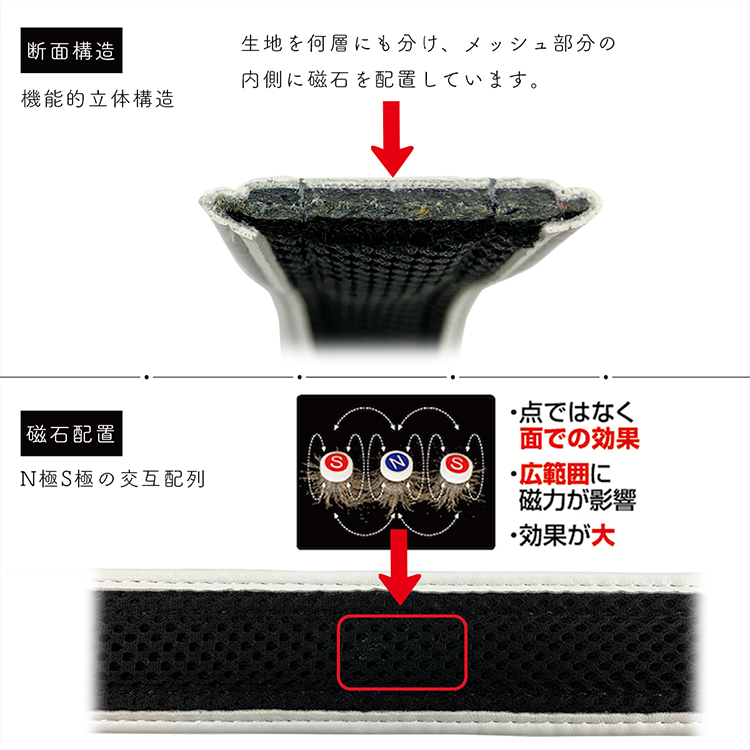 磁気ベルト Colantotte コラントッテ ベルト : PassageMens - 通販