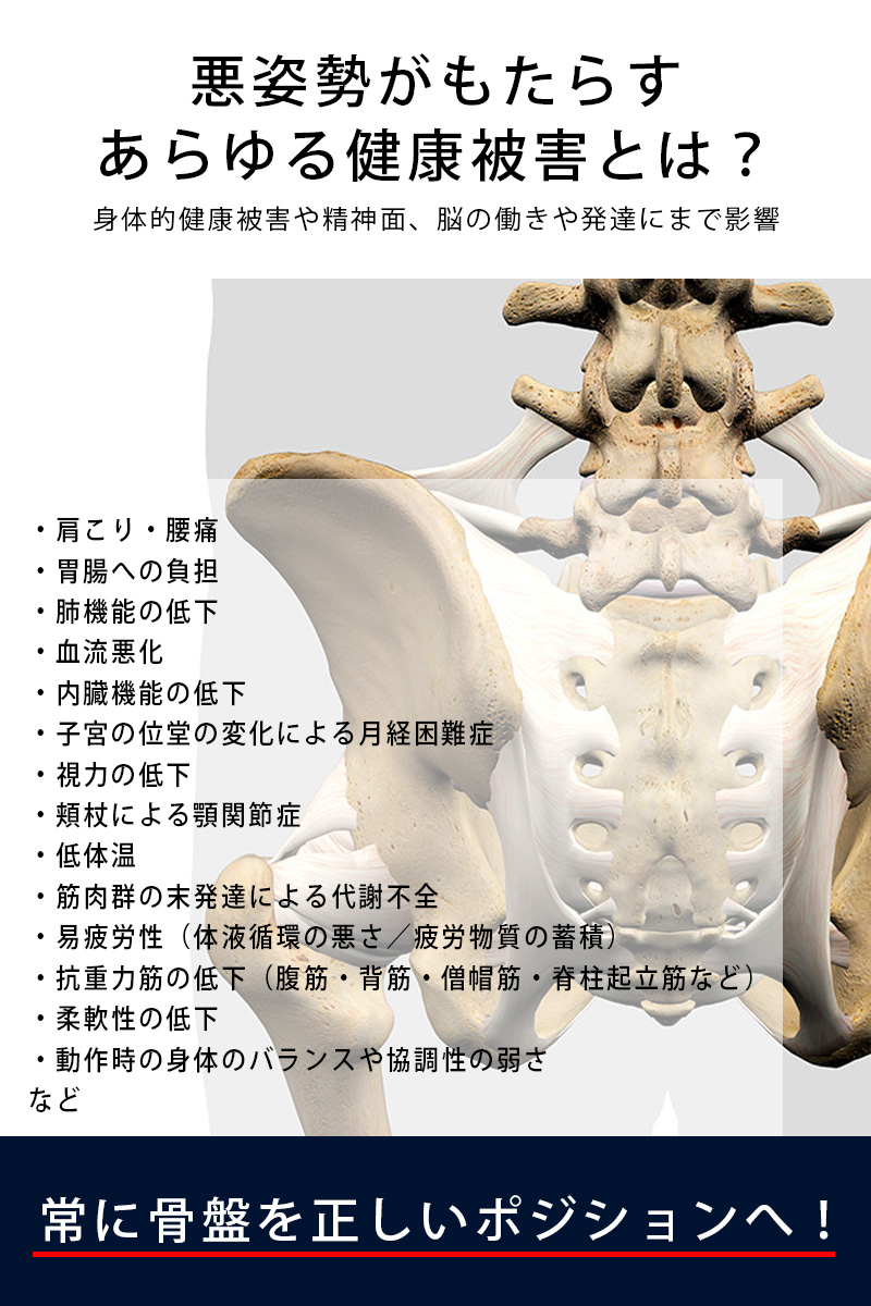 骨盤サポートパンツ PELVISMAKE PANTS（ペルヴィスメイク 整体 メンズ
