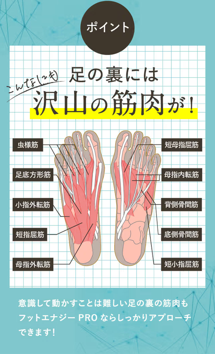 保阪尚希プロデュース フットエナジープロ FE‐002 FOOT ENERGY 