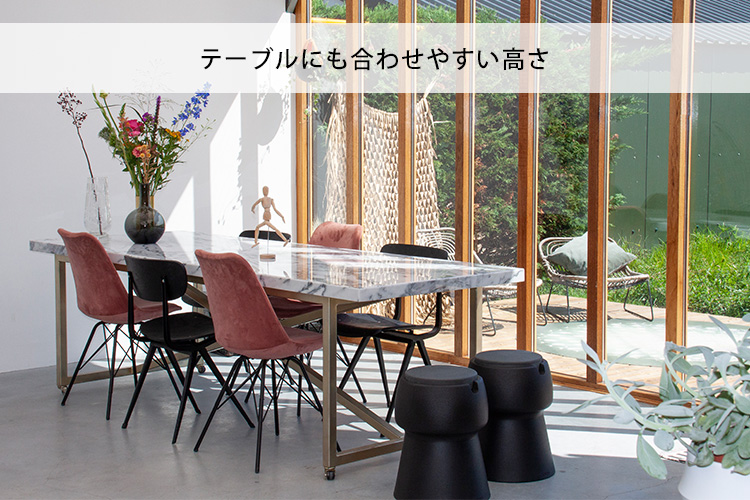 JOKJOR Champ 本体 メーカー直送 ヨクヨール チャンプ チェア サイド 