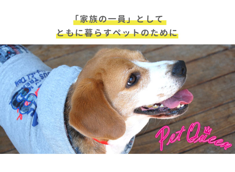 PET QUEEN 選べる特典付 星柄スプレッドリュック ペットクイーン