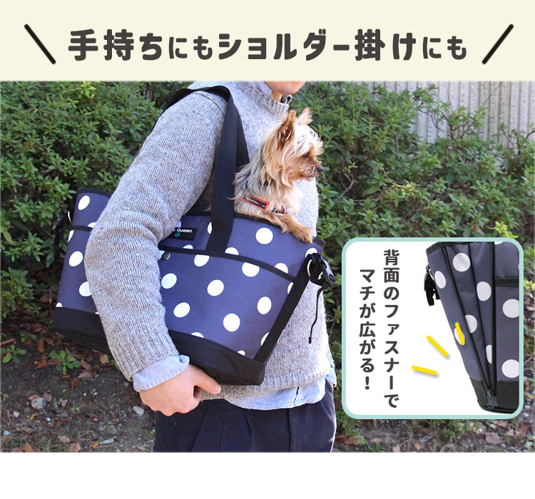 PET QUEEN（ペットクイーン） 選べる特典付 サイクリングドット柄