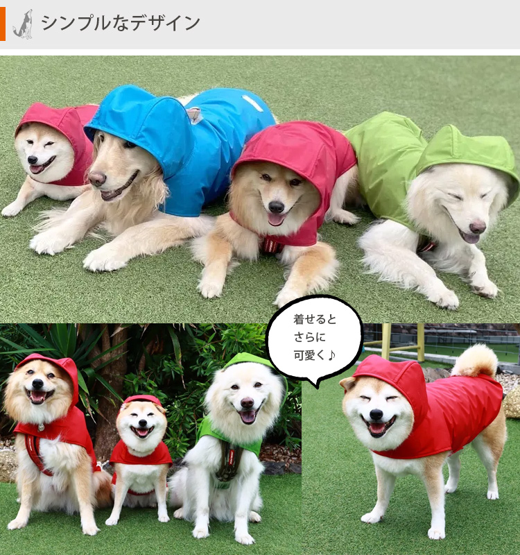 わんちゃんグッズ付 DeLoreans 犬用レインコート Sサイズ 穴澤賢 小型