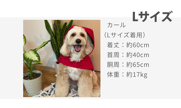 デロリアンズ　犬用 防水レインコート 青 フード付きSサイズ レビュー】犬用レインコート - お散歩バッグ・犬用ベッド