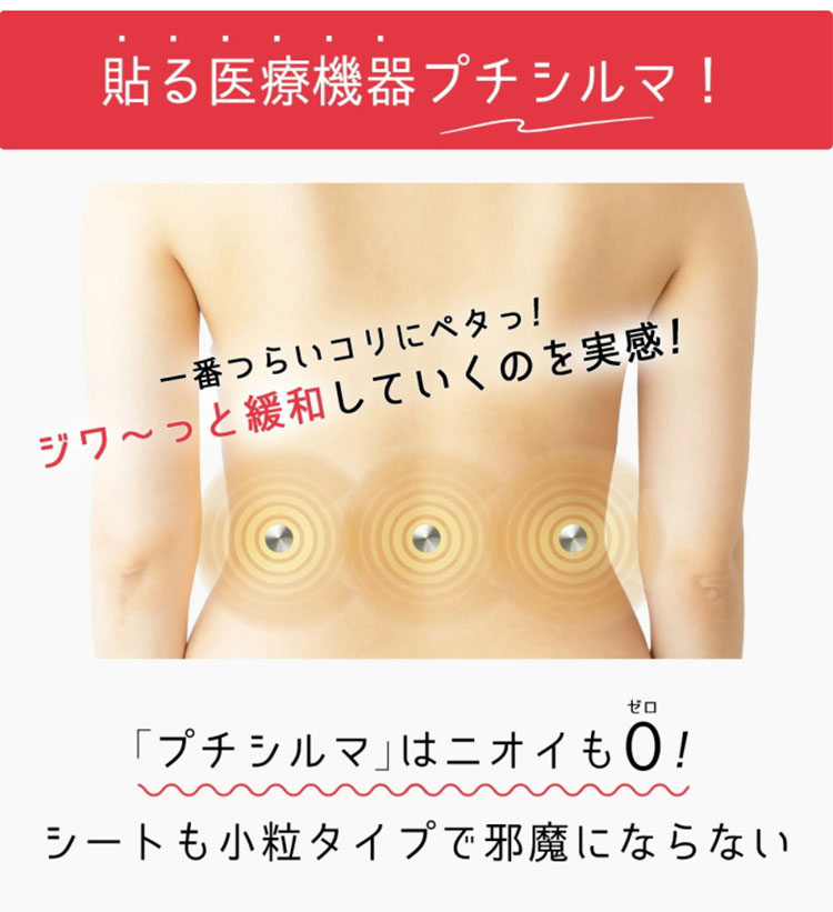 Dr.プチシルマ LSi14 DX5.5mm 6粒 専用シール30枚入り メール便無料