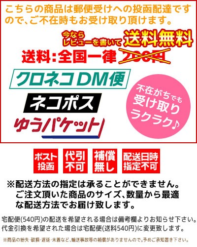 ガリウム エッジのサビ落とし＆サビ止め GALLIUM RUST DEFENDER 20nl 