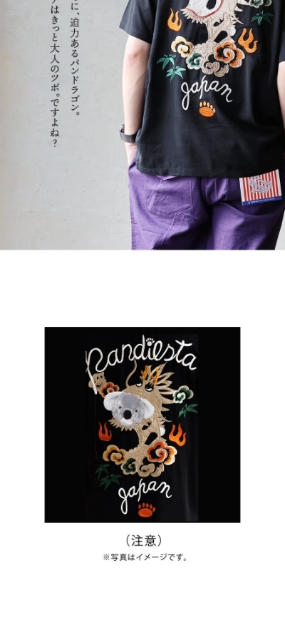 PANDIESTAJAPAN パンディエスタジャパン シャツ 開襟シャツ 半袖