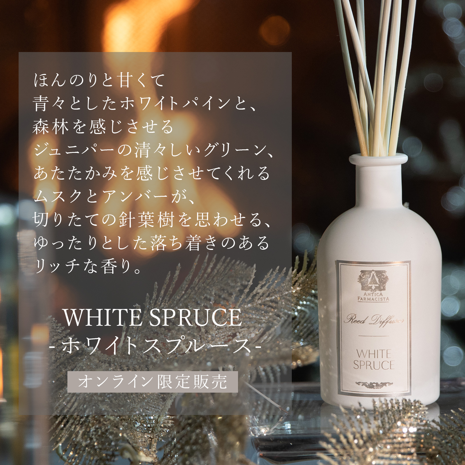 オンライン限定】WHITE SPRUCE -ホワイトスプルース- アンティカ