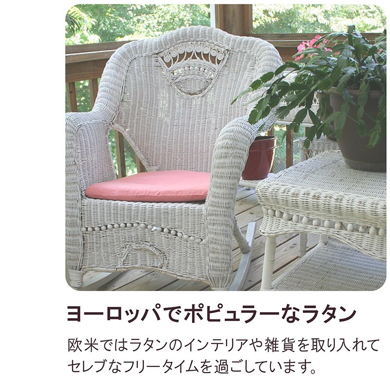 籐 かご 籐のかご トレイ トレー 収納 小物入れ おしゃれ 安い バリ