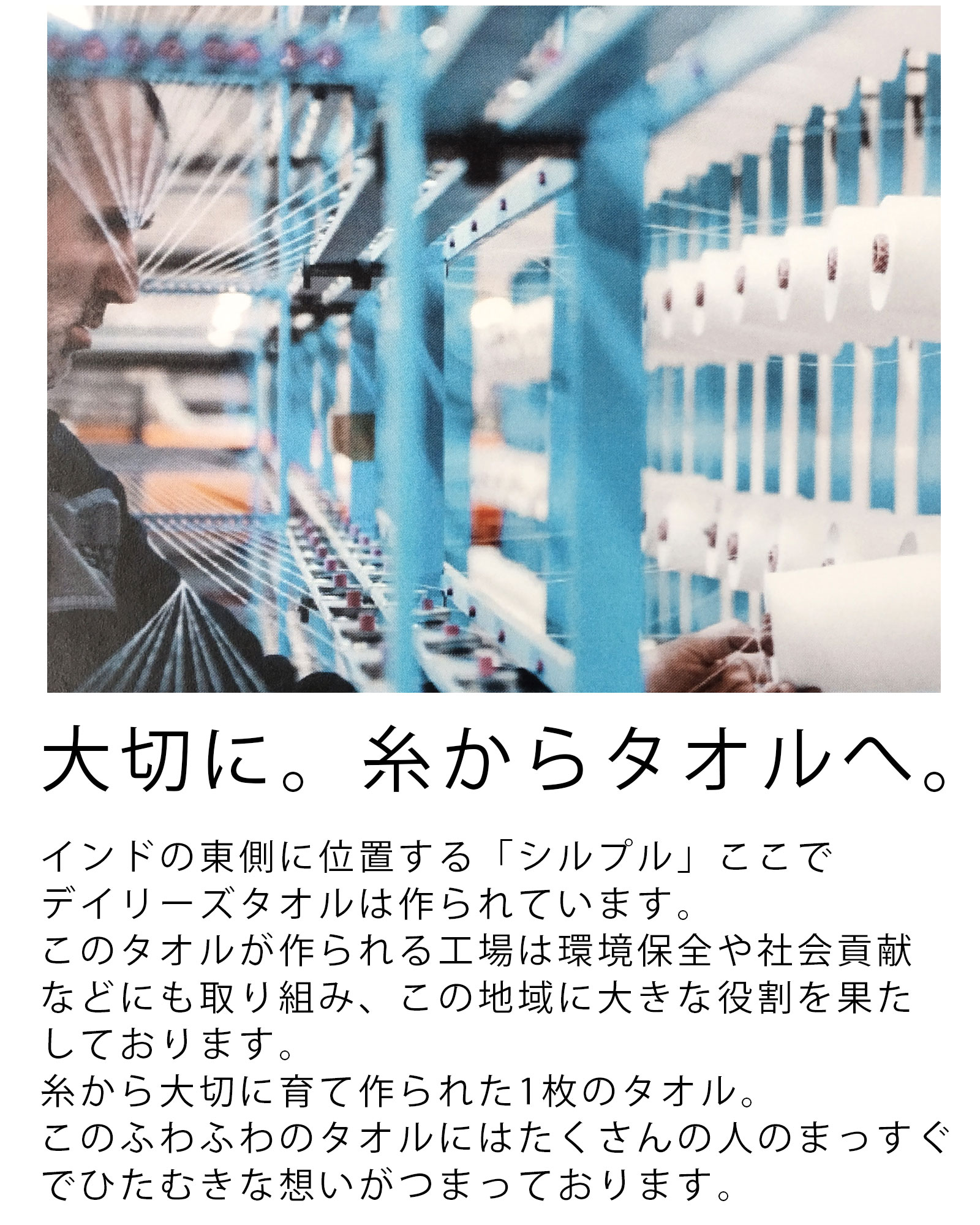 Amazon｜ハイスクールD×D リアス・グレモリー 特別版 バスタオル